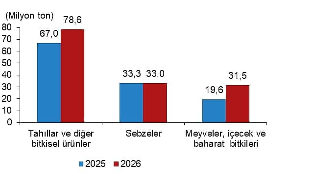 2026 Bitkisel Üretim Tahminleri: Meyve ve Tahıl Rekor Artış Vadediyor